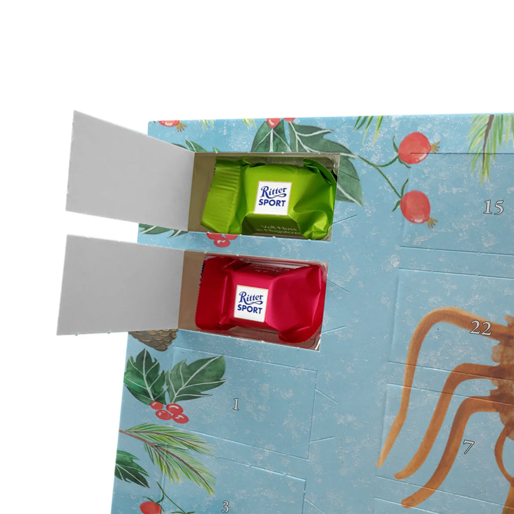 Chocolate advent calendar Spider Agathe Sandwich Spider, Spider Agathe