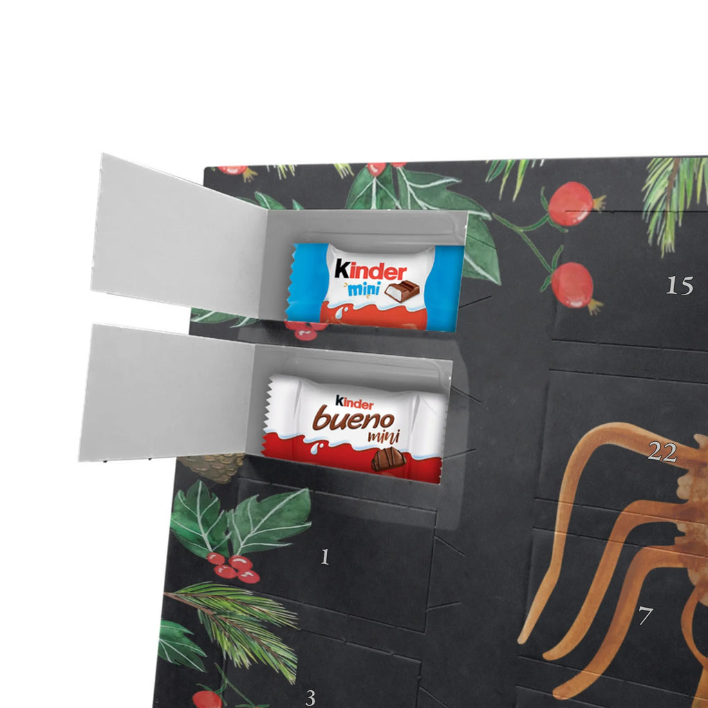 Chocolate advent calendar Spider Agathe Sandwich Spider, Spider Agathe