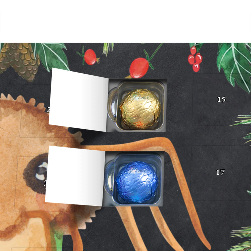 Chocolate advent calendar Spider Agathe Sandwich Spider, Spider Agathe