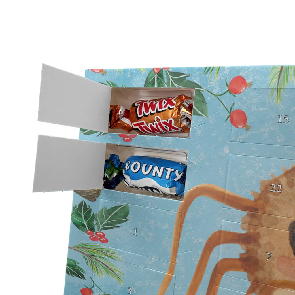  Pająk Agata kanapka Filmy, Towary, Pająk, Pająk Agathe