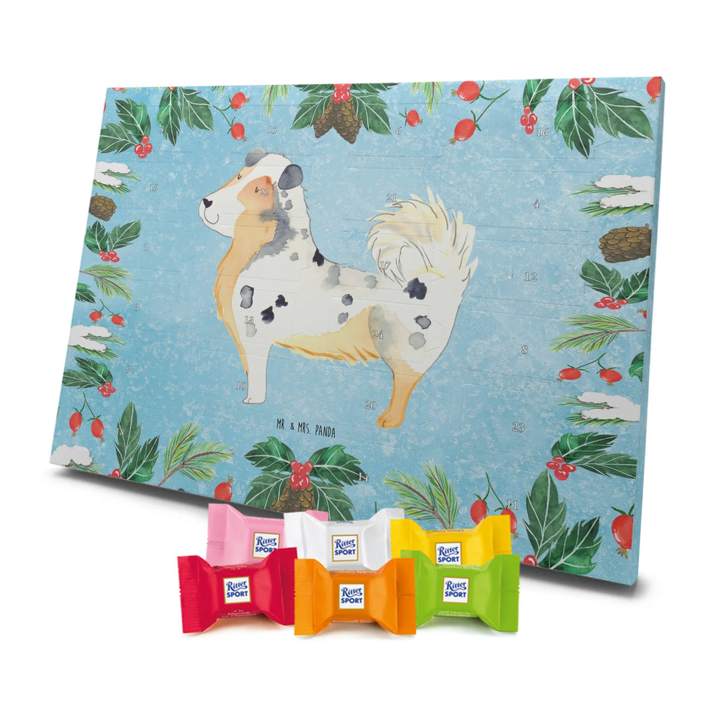 Chocolate advent calendar Dog Australia Shepherd mutt, dog sayings, love dogs, dog mama, funny gifts for dog owners, woof, what do you give a dog lover, dog breed, Christmas gifts for dogs, gifts for dogs, bag with dog print, love for dogs, hound, dog decorative items, Dog love, Australia Shepherd, Family dog, Saying, Sayings