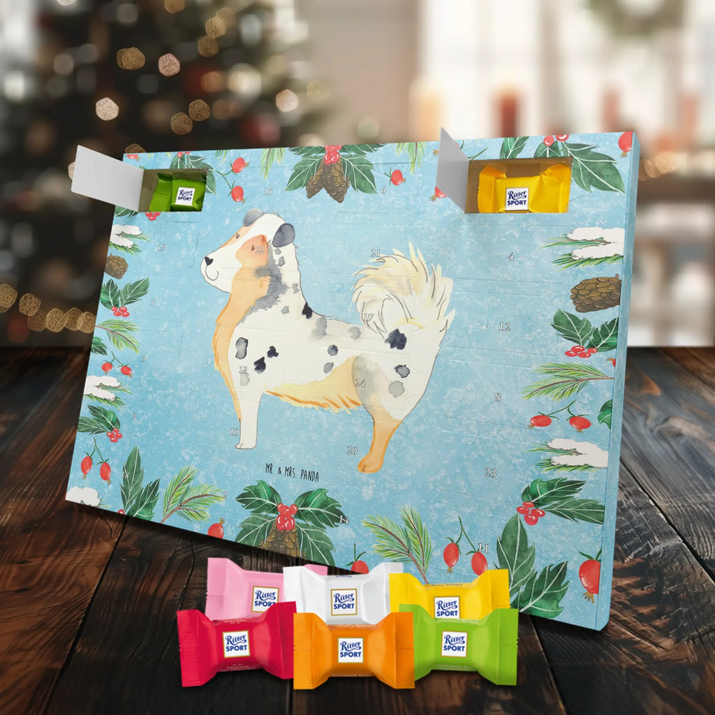 Chocolate advent calendar Dog Australia Shepherd mutt, dog sayings, love dogs, dog mama, funny gifts for dog owners, woof, what do you give a dog lover, dog breed, Christmas gifts for dogs, gifts for dogs, bag with dog print, love for dogs, hound, dog decorative items, Dog love, Australia Shepherd, Family dog, Saying, Sayings