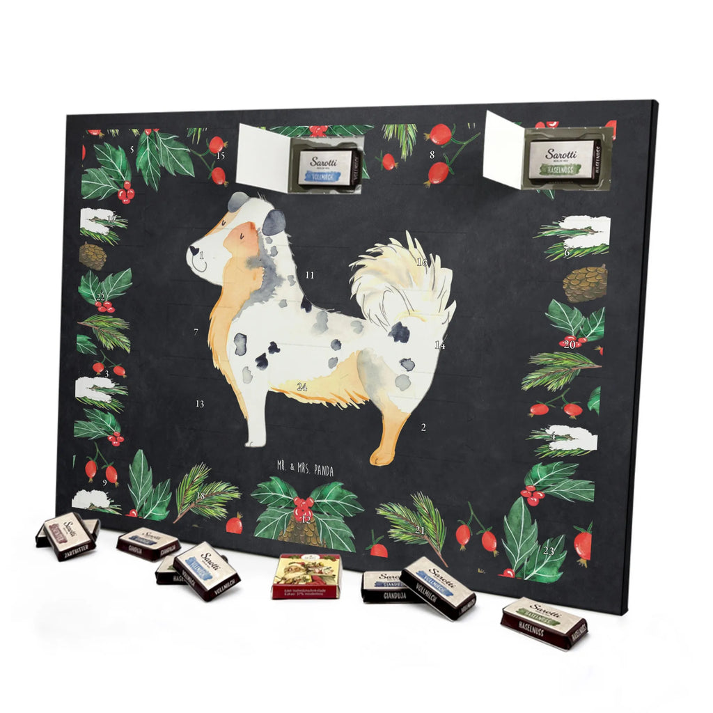 Chocolate advent calendar Dog Australia Shepherd mutt, dog sayings, love dogs, dog mama, funny gifts for dog owners, woof, what do you give a dog lover, dog breed, Christmas gifts for dogs, gifts for dogs, bag with dog print, love for dogs, hound, dog decorative items, Dog love, Australia Shepherd, Family dog, Saying, Sayings