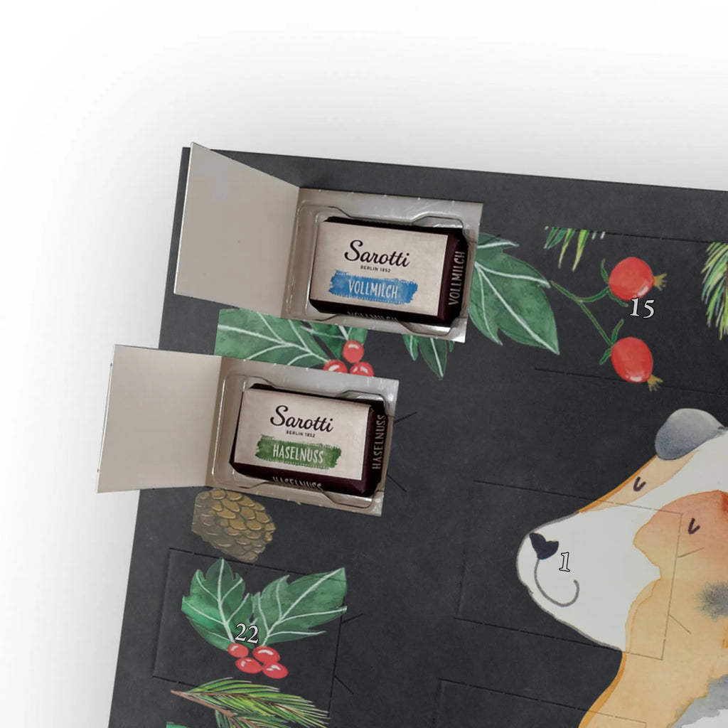 Chocolate advent calendar Dog Australia Shepherd mutt, dog sayings, love dogs, dog mama, funny gifts for dog owners, woof, what do you give a dog lover, dog breed, Christmas gifts for dogs, gifts for dogs, bag with dog print, love for dogs, hound, dog decorative items, Dog love, Australia Shepherd, Family dog, Saying, Sayings