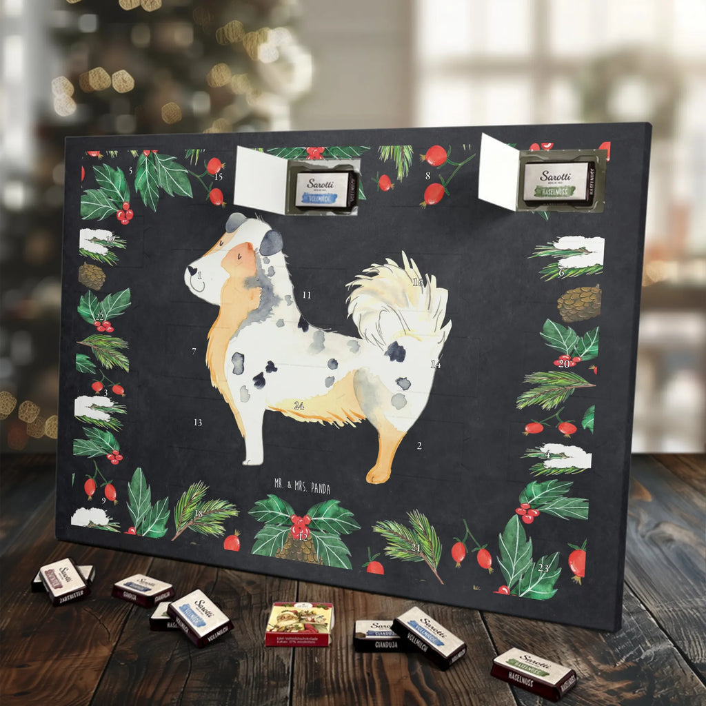 Chocolate advent calendar Dog Australia Shepherd mutt, dog sayings, love dogs, dog mama, funny gifts for dog owners, woof, what do you give a dog lover, dog breed, Christmas gifts for dogs, gifts for dogs, bag with dog print, love for dogs, hound, dog decorative items, Dog love, Australia Shepherd, Family dog, Saying, Sayings