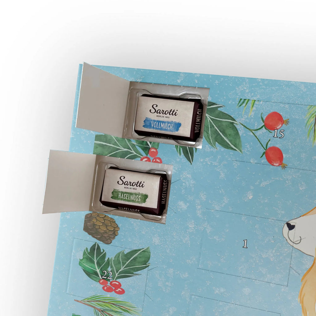 Chocolate advent calendar Dog Australia Shepherd mutt, dog sayings, love dogs, dog mama, funny gifts for dog owners, woof, what do you give a dog lover, dog breed, Christmas gifts for dogs, gifts for dogs, bag with dog print, love for dogs, hound, dog decorative items, Dog love, Australia Shepherd, Family dog, Saying, Sayings