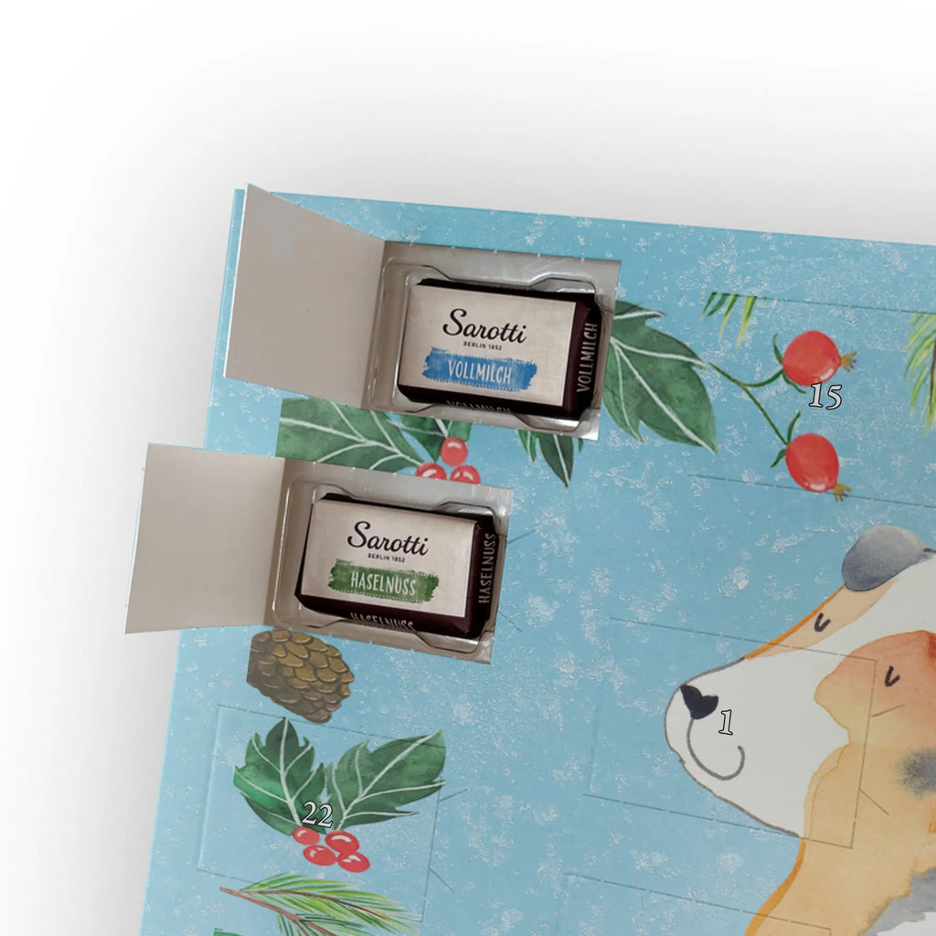 Chocolate advent calendar Dog Australia Shepherd mutt, dog sayings, love dogs, dog mama, funny gifts for dog owners, woof, what do you give a dog lover, dog breed, Christmas gifts for dogs, gifts for dogs, bag with dog print, love for dogs, hound, dog decorative items, Dog love, Australia Shepherd, Family dog, Saying, Sayings