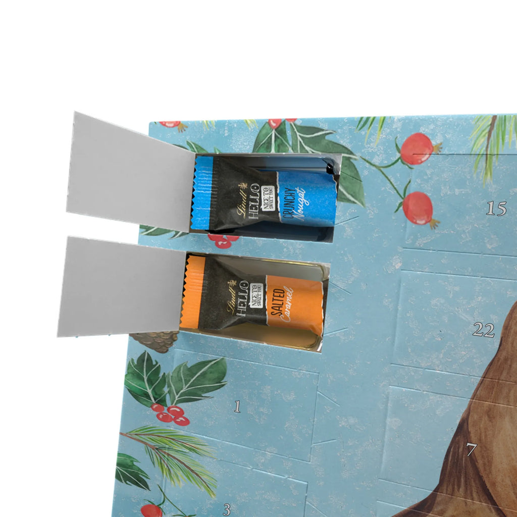 Schokoladen-Weihnachtskalender Rotkehlchen Schlitten schokokalender, Schokoladen-Weihnachtskalender, Weihnachts Kalender, Schokoladen Adventskalender, Weihnachtskalender Schokolade, Schokoladen-Adventskalender, Adventskalender Schokolade, schokoladenkalender, schoko kalender, kalender schokolade, adventskalender süßigkeiten, kalender weihnachten, süßigkeiten kalender, Schoko Adventskalender, schoko weihnachtskalender, pralinen adventskalender, süßigkeiten adventskalender, Weihnachten Adventskalender, adventskalender schoko, schokolade adventskalender, adventskalender pralinen, Weihnachtskalender, Adventskalender, weihnachtskalender schoko, Schoko-Adventskalender, schokoladen kalender, Heiligabend, Weihnachten, Winter, Advent, Weihnachtsdeko, Nikolaus, Wintermotiv, Schlitten, Vogel