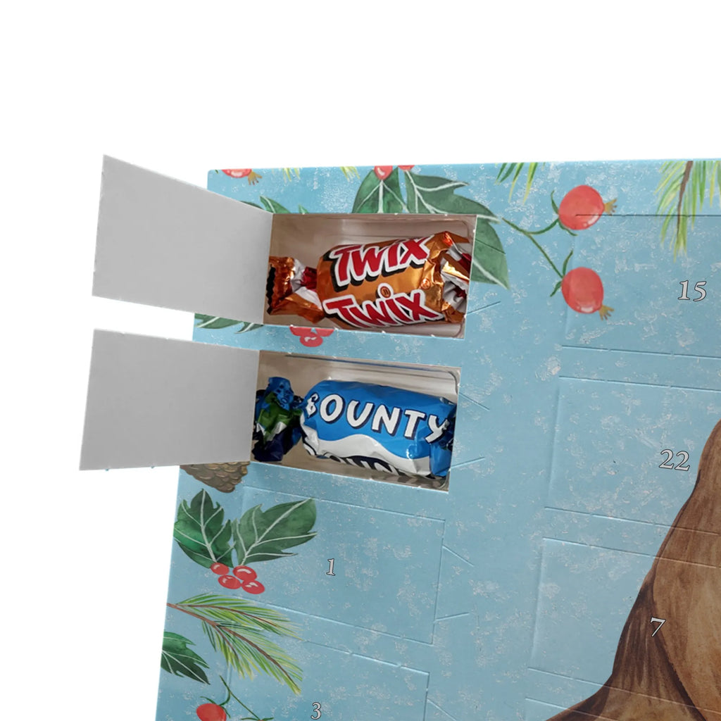 Schokoladen-Weihnachtskalender Rotkehlchen Schlitten schokokalender, Schokoladen-Weihnachtskalender, Weihnachts Kalender, Schokoladen Adventskalender, Weihnachtskalender Schokolade, Schokoladen-Adventskalender, Adventskalender Schokolade, schokoladenkalender, schoko kalender, kalender schokolade, adventskalender süßigkeiten, kalender weihnachten, süßigkeiten kalender, Schoko Adventskalender, schoko weihnachtskalender, pralinen adventskalender, süßigkeiten adventskalender, Weihnachten Adventskalender, adventskalender schoko, schokolade adventskalender, adventskalender pralinen, Weihnachtskalender, Adventskalender, weihnachtskalender schoko, Schoko-Adventskalender, schokoladen kalender, Heiligabend, Weihnachten, Winter, Advent, Weihnachtsdeko, Nikolaus, Wintermotiv, Schlitten, Vogel