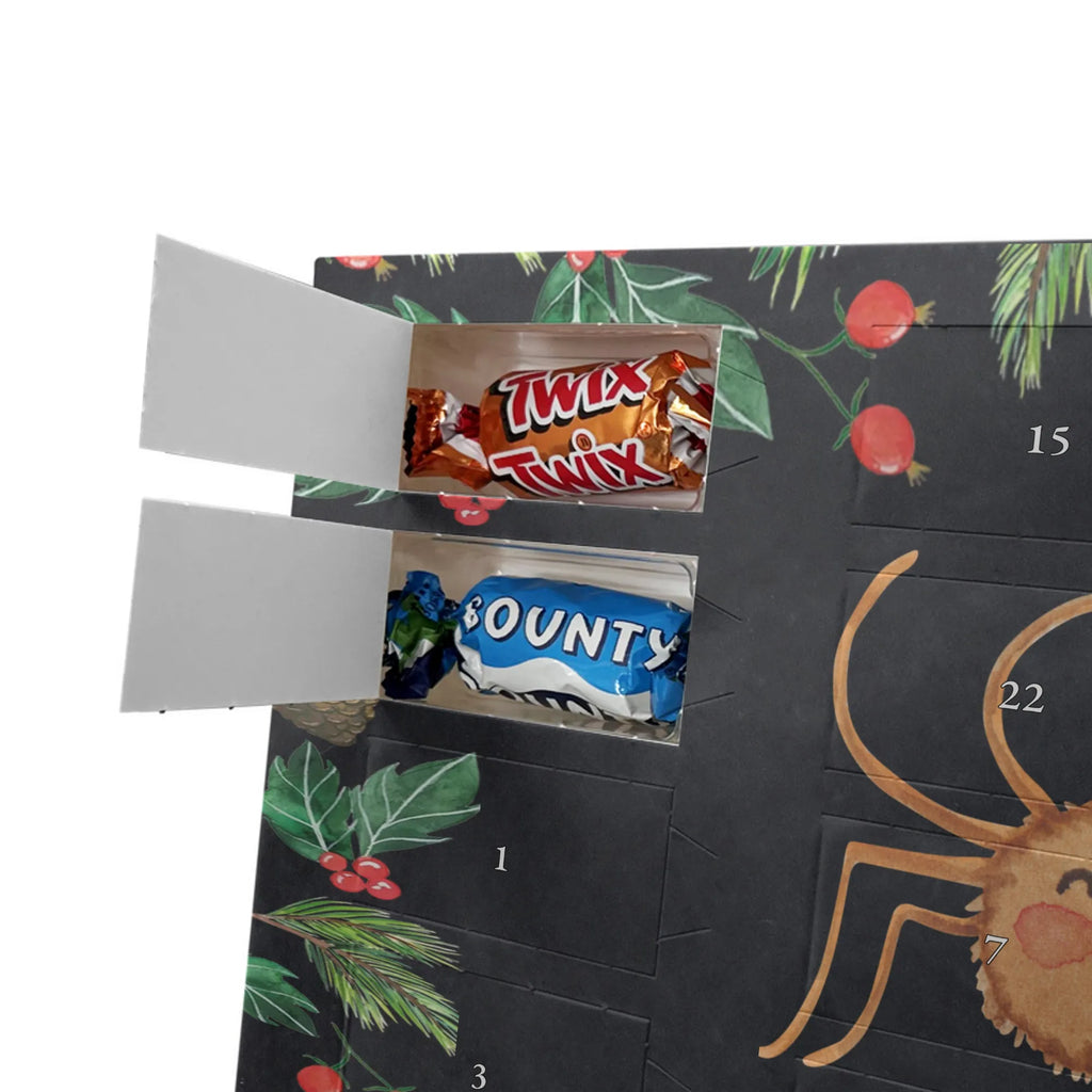 Chocolate advent calendar Spider Agatha Motivation Spider, Spider Agathe