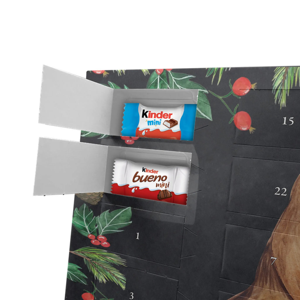 Schokoladen-Weihnachtskalender Rotkehlchen Schlitten schokokalender, Schokoladen-Weihnachtskalender, Weihnachts Kalender, Schokoladen Adventskalender, Weihnachtskalender Schokolade, Schokoladen-Adventskalender, Adventskalender Schokolade, schokoladenkalender, schoko kalender, kalender schokolade, adventskalender süßigkeiten, kalender weihnachten, süßigkeiten kalender, Schoko Adventskalender, schoko weihnachtskalender, pralinen adventskalender, süßigkeiten adventskalender, Weihnachten Adventskalender, adventskalender schoko, schokolade adventskalender, adventskalender pralinen, Weihnachtskalender, Adventskalender, weihnachtskalender schoko, Schoko-Adventskalender, schokoladen kalender, Heiligabend, Weihnachten, Winter, Advent, Weihnachtsdeko, Nikolaus, Wintermotiv, Schlitten, Vogel