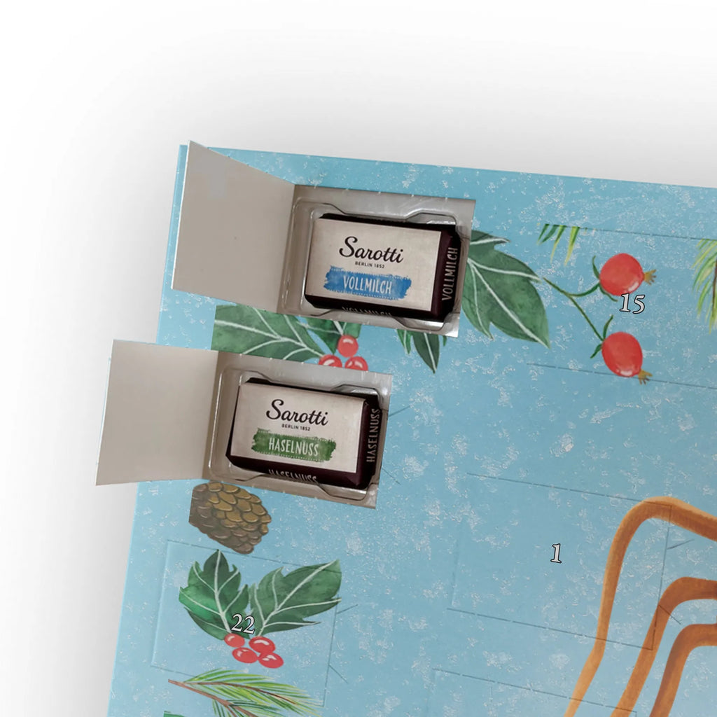 Chocolate advent calendar Spider Agathe Sandwich Spider, Spider Agathe