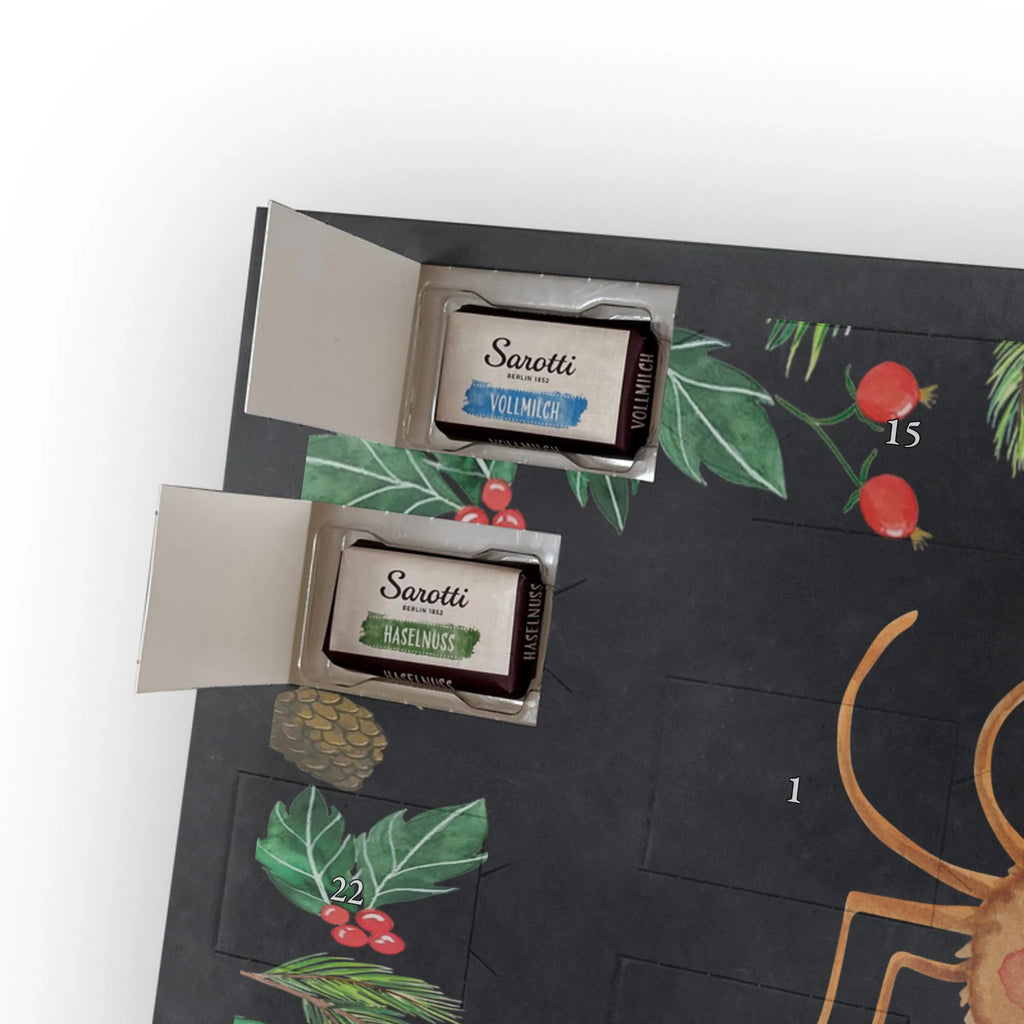 Chocolate advent calendar Spider Agatha Motivation Spider, Spider Agathe