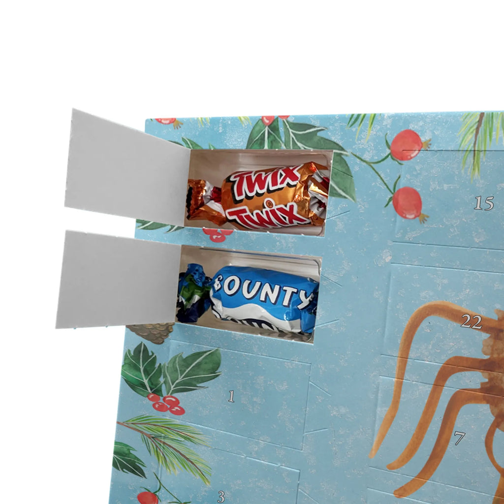 Chocolate advent calendar Spider Agathe Sandwich Spider, Spider Agathe