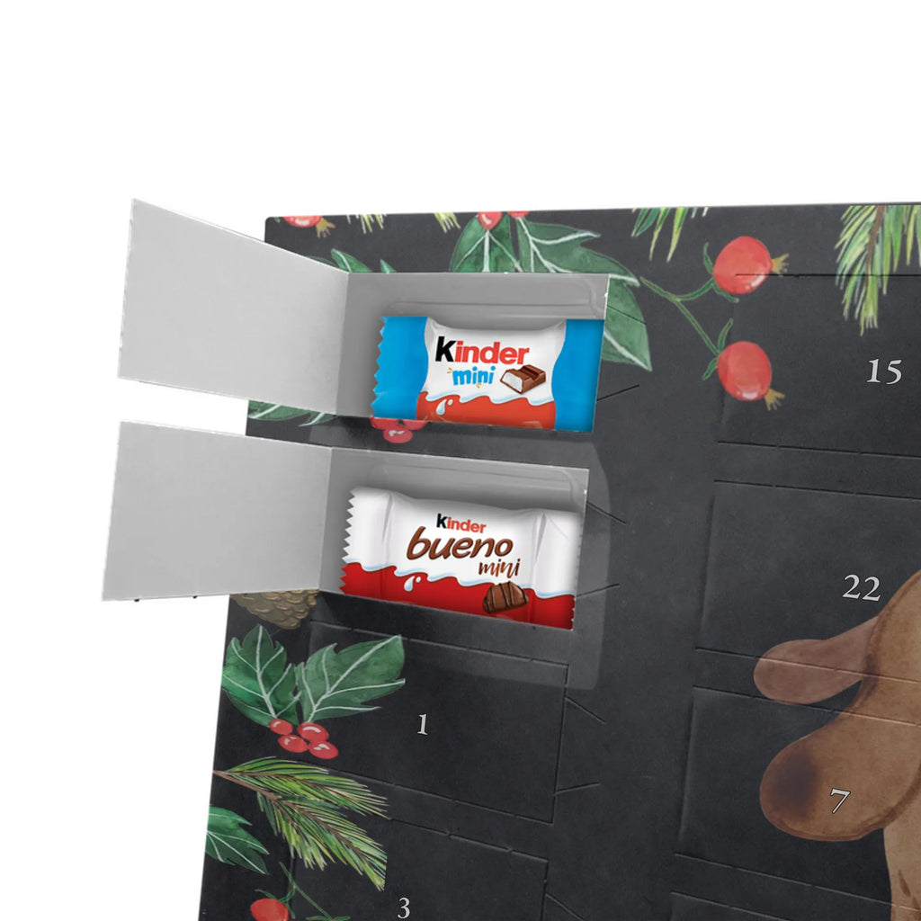 Chocolate advent calendar Dog biscuit mutt, dog sayings, love dogs, dog mama, funny gifts for dog owners, woof, what do you give a dog lover, dog breed, Christmas gifts for dogs, gifts for dogs, bag with dog print, love for dogs, hound, dog decorative items, treats, dog biscuits, dog snacks, dog treats