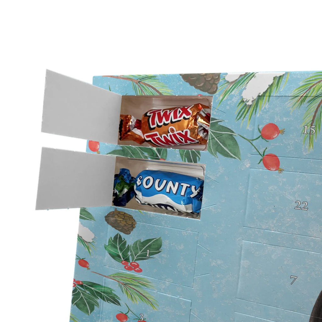  skunks siedzenie Adventskalender mit Namen, Personalisierter Adventskalender, Stinktier, Skunk, Raubtier, Wildtier, Büro, Besserwisser, Recht, Spruch, Stinki, Stinker