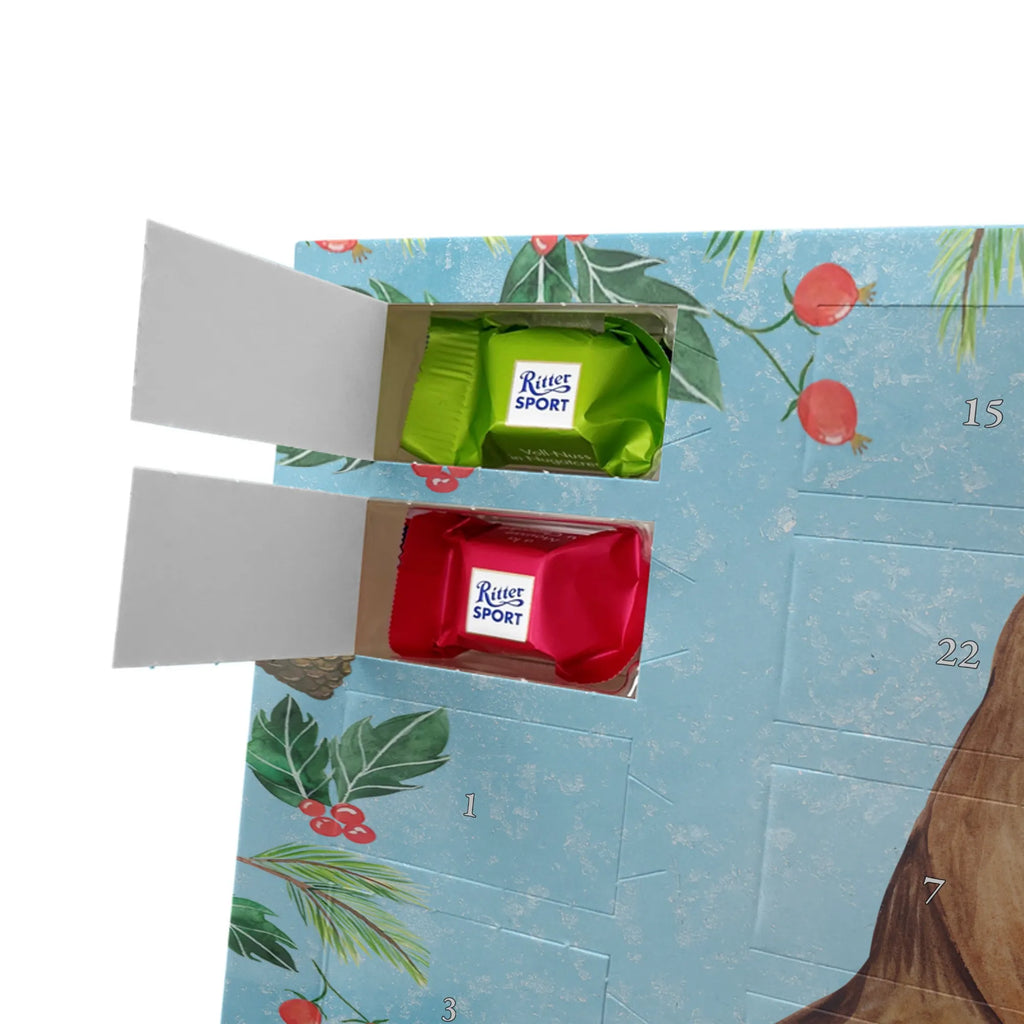 Schokoladen-Weihnachtskalender Rotkehlchen Schlitten schokokalender, Schokoladen-Weihnachtskalender, Weihnachts Kalender, Schokoladen Adventskalender, Weihnachtskalender Schokolade, Schokoladen-Adventskalender, Adventskalender Schokolade, schokoladenkalender, schoko kalender, kalender schokolade, adventskalender süßigkeiten, kalender weihnachten, süßigkeiten kalender, Schoko Adventskalender, schoko weihnachtskalender, pralinen adventskalender, süßigkeiten adventskalender, Weihnachten Adventskalender, adventskalender schoko, schokolade adventskalender, adventskalender pralinen, Weihnachtskalender, Adventskalender, weihnachtskalender schoko, Schoko-Adventskalender, schokoladen kalender, Heiligabend, Weihnachten, Winter, Advent, Weihnachtsdeko, Nikolaus, Wintermotiv, Schlitten, Vogel