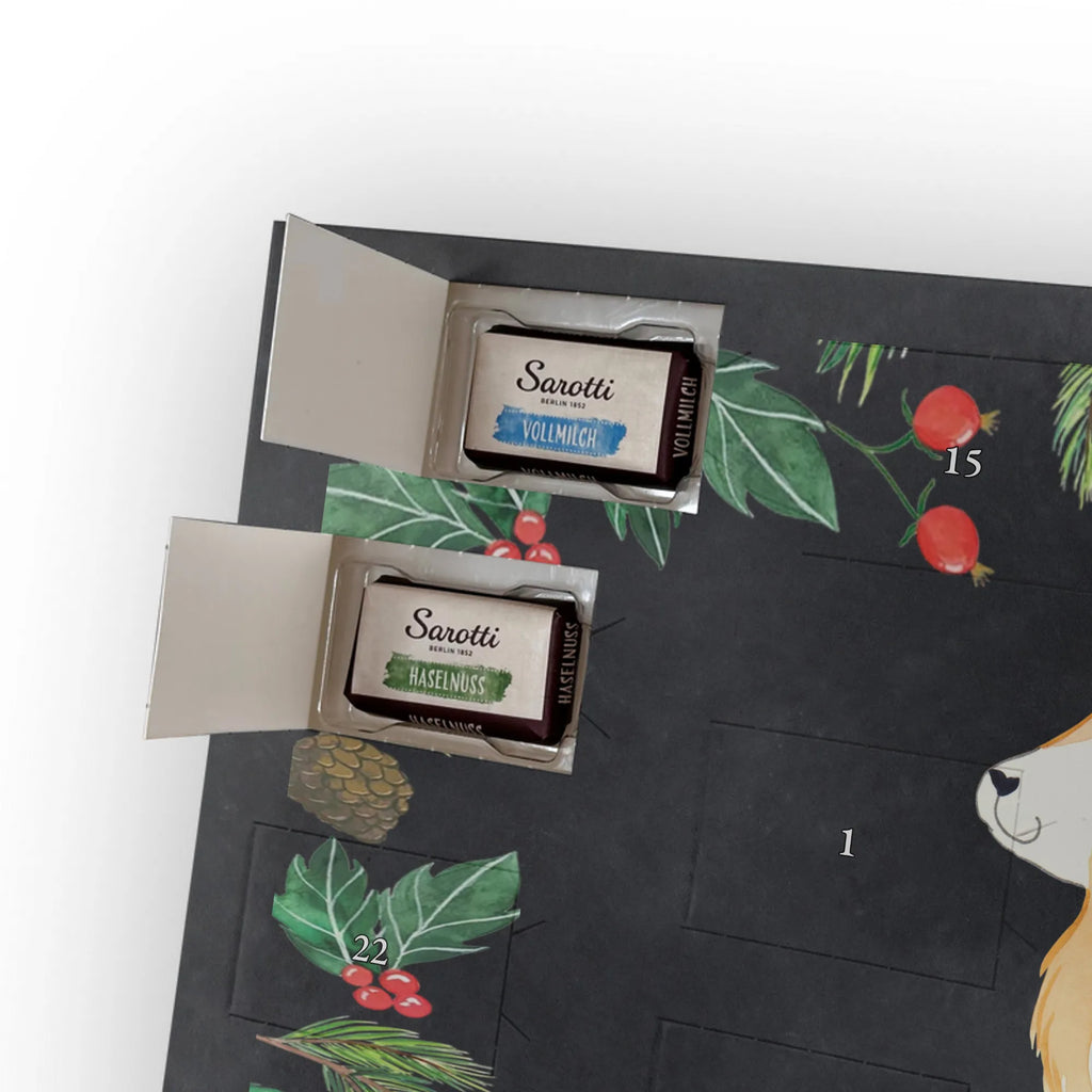 Chocolate advent calendar Dog Australia Shepherd mutt, dog sayings, love dogs, dog mama, funny gifts for dog owners, woof, what do you give a dog lover, dog breed, Christmas gifts for dogs, gifts for dogs, bag with dog print, love for dogs, hound, dog decorative items, Dog love, Australia Shepherd, Family dog, Saying, Sayings