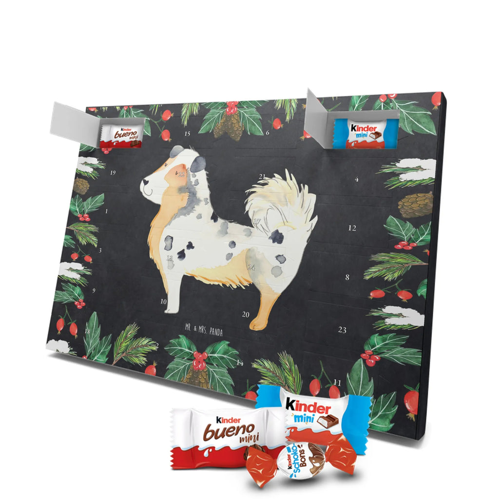 Chocolate advent calendar Dog Australia Shepherd mutt, dog sayings, love dogs, dog mama, funny gifts for dog owners, woof, what do you give a dog lover, dog breed, Christmas gifts for dogs, gifts for dogs, bag with dog print, love for dogs, hound, dog decorative items, Dog love, Australia Shepherd, Family dog, Saying, Sayings