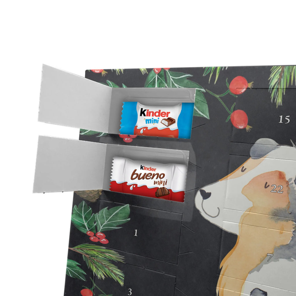 Chocolate advent calendar Dog Australia Shepherd mutt, dog sayings, love dogs, dog mama, funny gifts for dog owners, woof, what do you give a dog lover, dog breed, Christmas gifts for dogs, gifts for dogs, bag with dog print, love for dogs, hound, dog decorative items, Dog love, Australia Shepherd, Family dog, Saying, Sayings