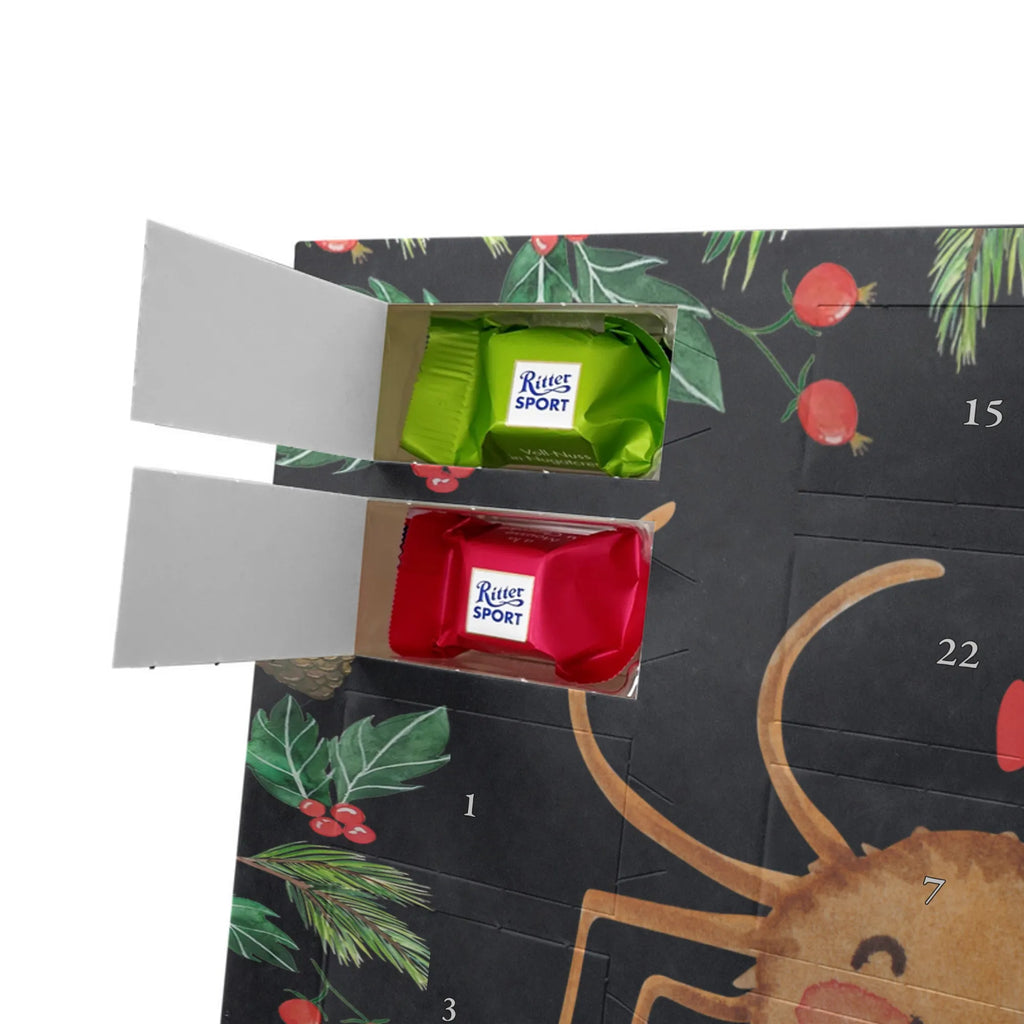 Chocolate advent calendar Spider Agatha Motivation Spider, Spider Agathe