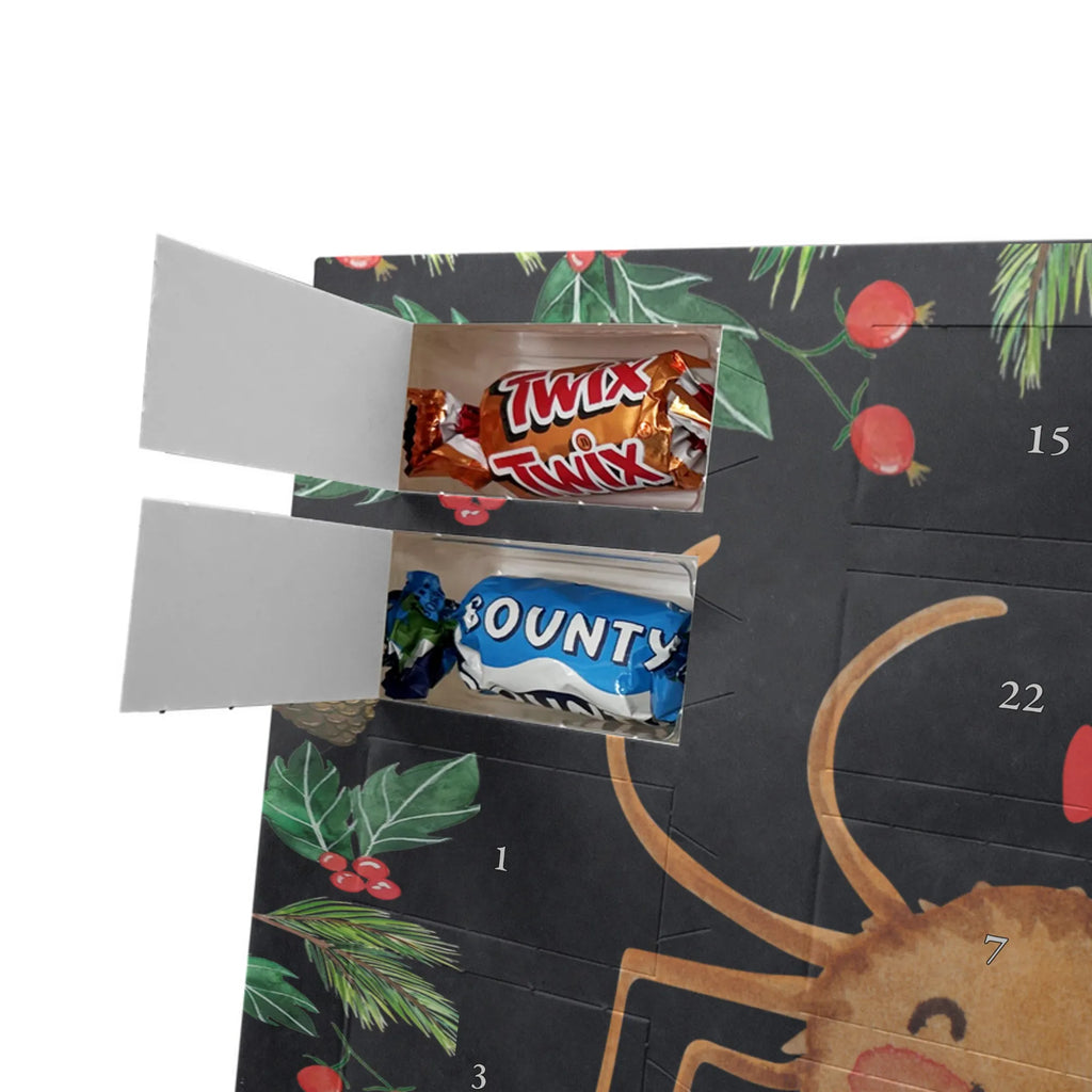 Chocolate advent calendar Spider Agatha Motivation Spider, Spider Agathe