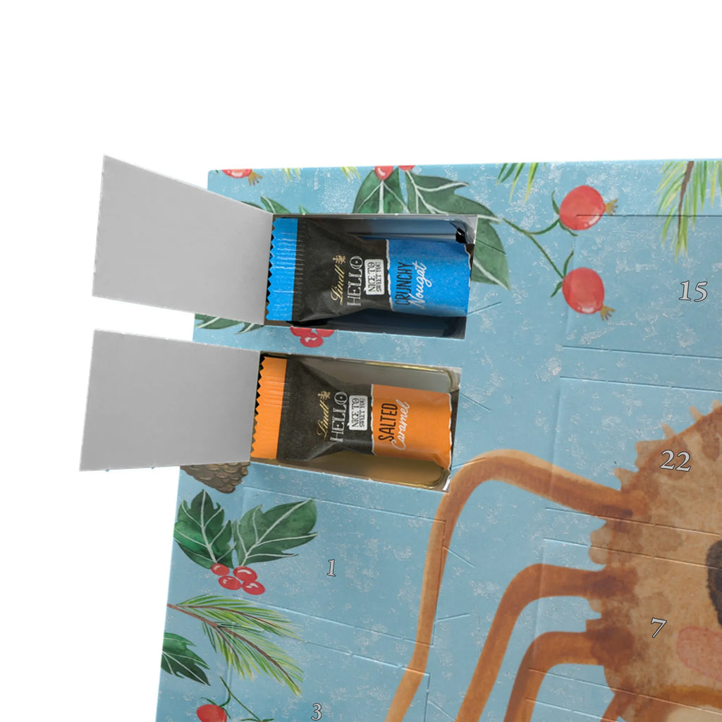 Chocolate advent calendar Spider Agathe Sandwich Spider, Spider Agathe