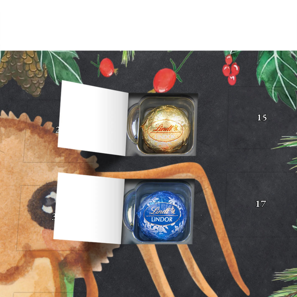  Pająk Agata kanapka Filmy, Towary, Pająk, Pająk Agathe