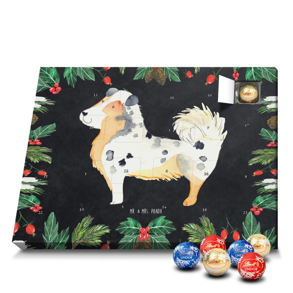 Chocolate advent calendar Dog Australia Shepherd mutt, dog sayings, love dogs, dog mama, funny gifts for dog owners, woof, what do you give a dog lover, dog breed, Christmas gifts for dogs, gifts for dogs, bag with dog print, love for dogs, hound, dog decorative items, Dog love, Australia Shepherd, Family dog, Saying, Sayings