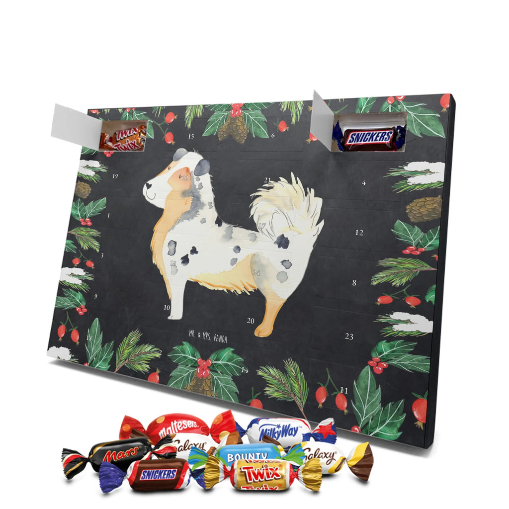 Chocolate advent calendar Dog Australia Shepherd mutt, dog sayings, love dogs, dog mama, funny gifts for dog owners, woof, what do you give a dog lover, dog breed, Christmas gifts for dogs, gifts for dogs, bag with dog print, love for dogs, hound, dog decorative items, Dog love, Australia Shepherd, Family dog, Saying, Sayings