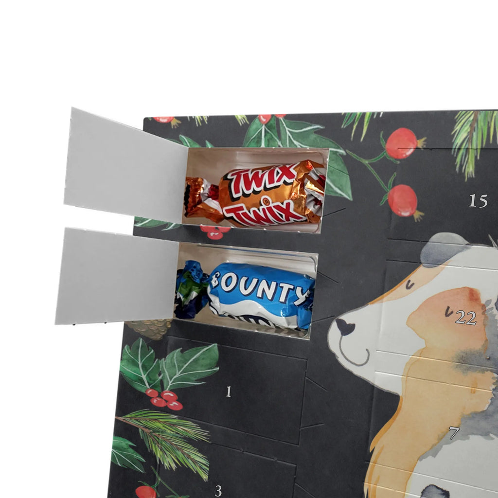 Chocolate advent calendar Dog Australia Shepherd mutt, dog sayings, love dogs, dog mama, funny gifts for dog owners, woof, what do you give a dog lover, dog breed, Christmas gifts for dogs, gifts for dogs, bag with dog print, love for dogs, hound, dog decorative items, Dog love, Australia Shepherd, Family dog, Saying, Sayings