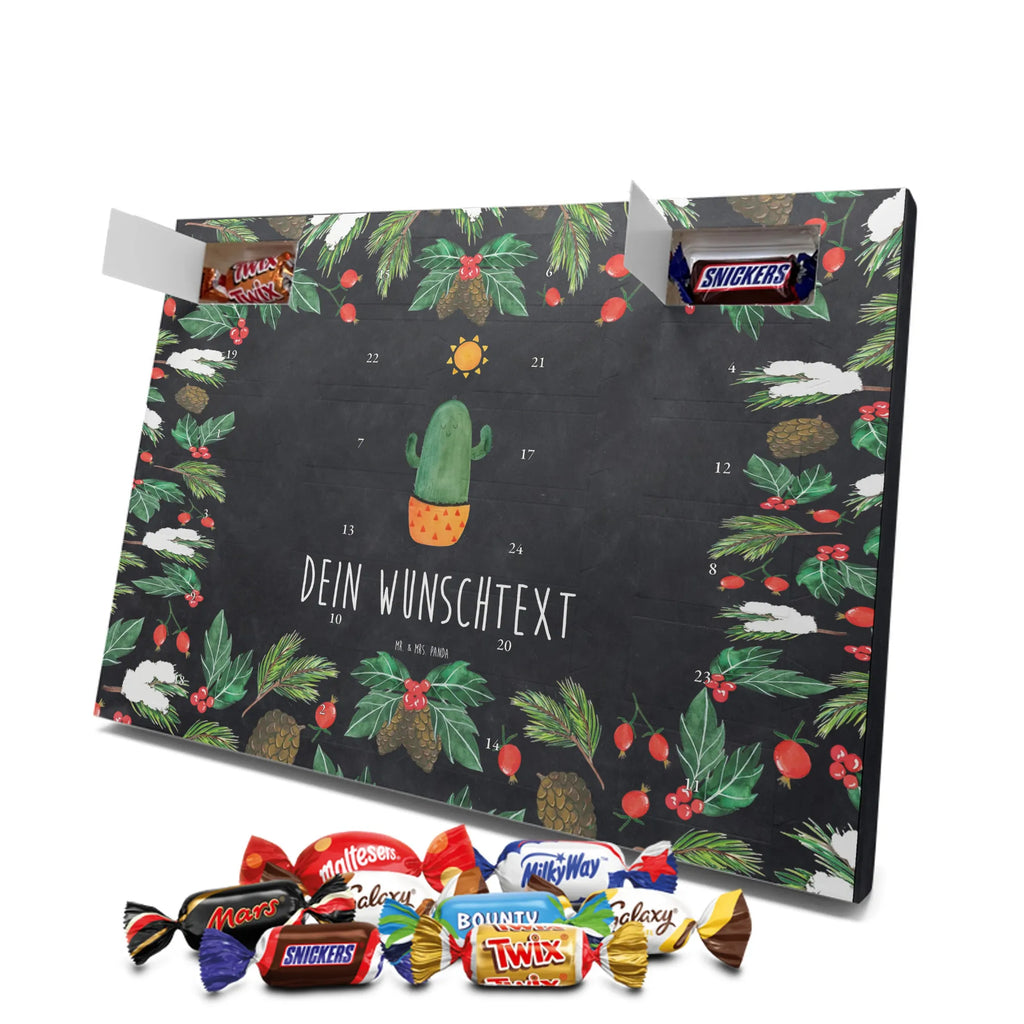  Kaktus Słońce Kaktusy