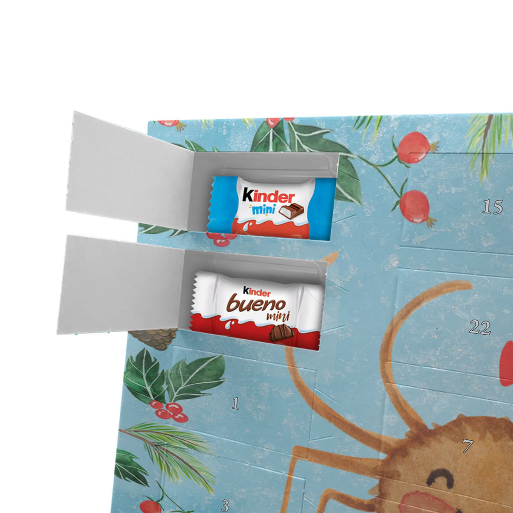 Chocolate advent calendar Spider Agatha Motivation Spider, Spider Agathe