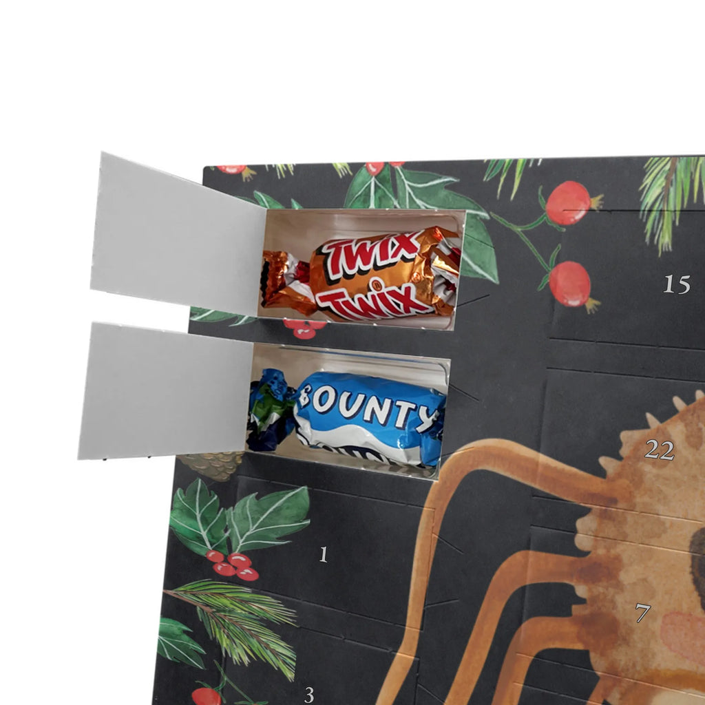 Chocolate advent calendar Spider Agathe Sandwich Spider, Spider Agathe