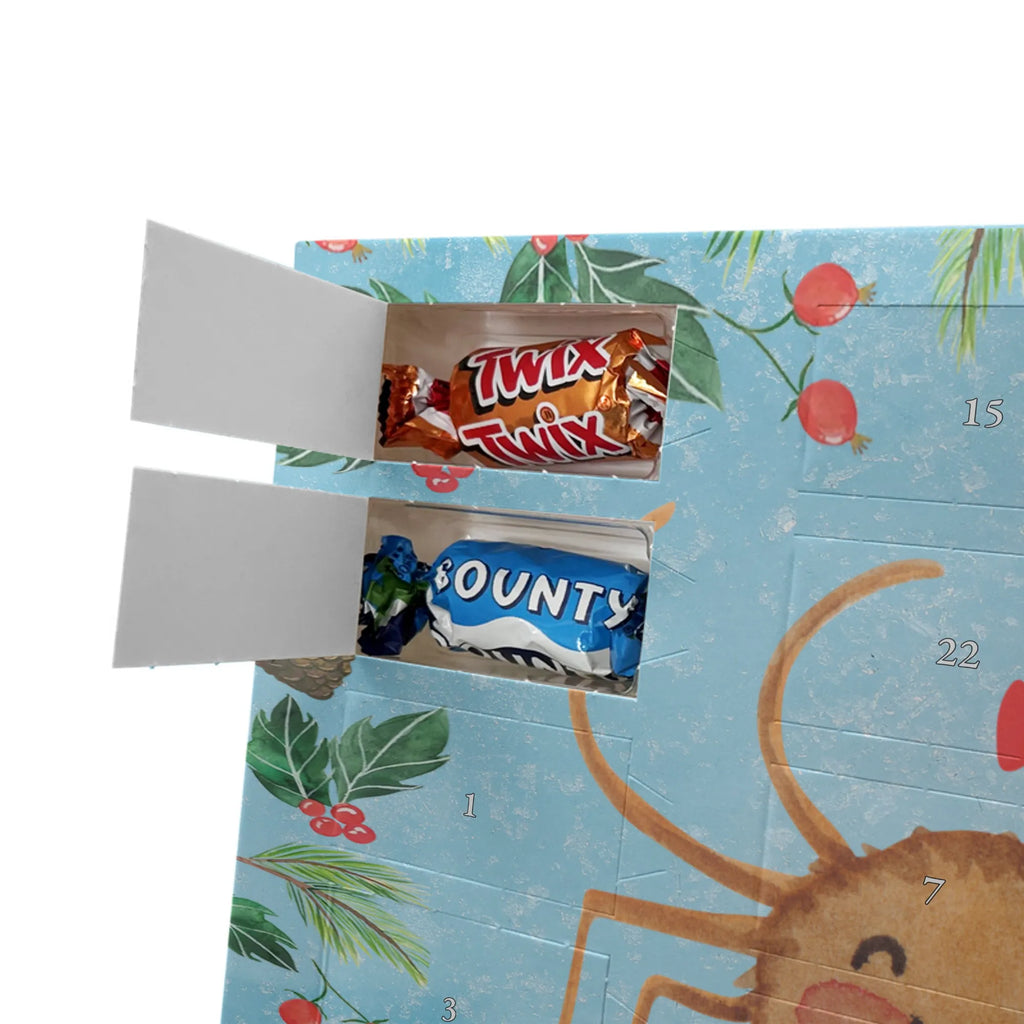 Chocolate advent calendar Spider Agatha Motivation Spider, Spider Agathe