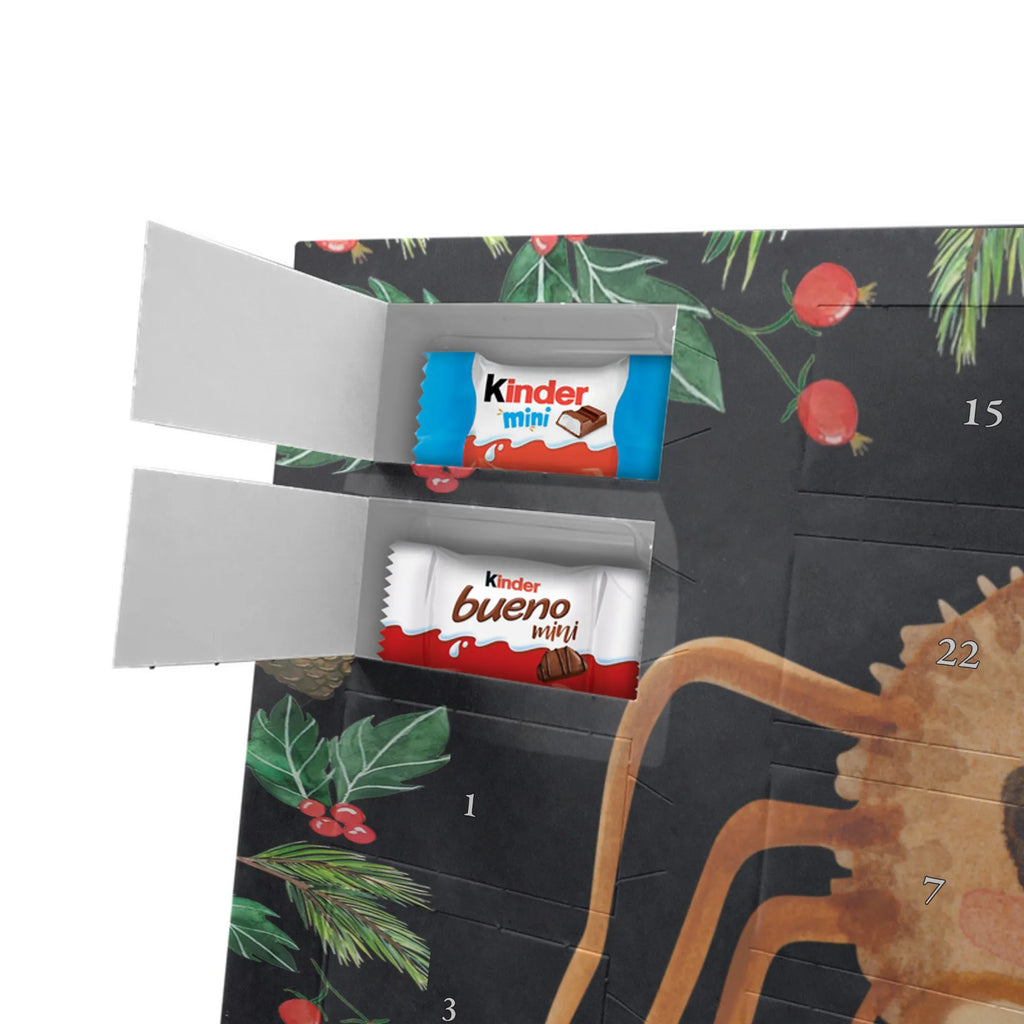  Pająk Agata kanapka Filmy, Towary, Pająk, Pająk Agathe