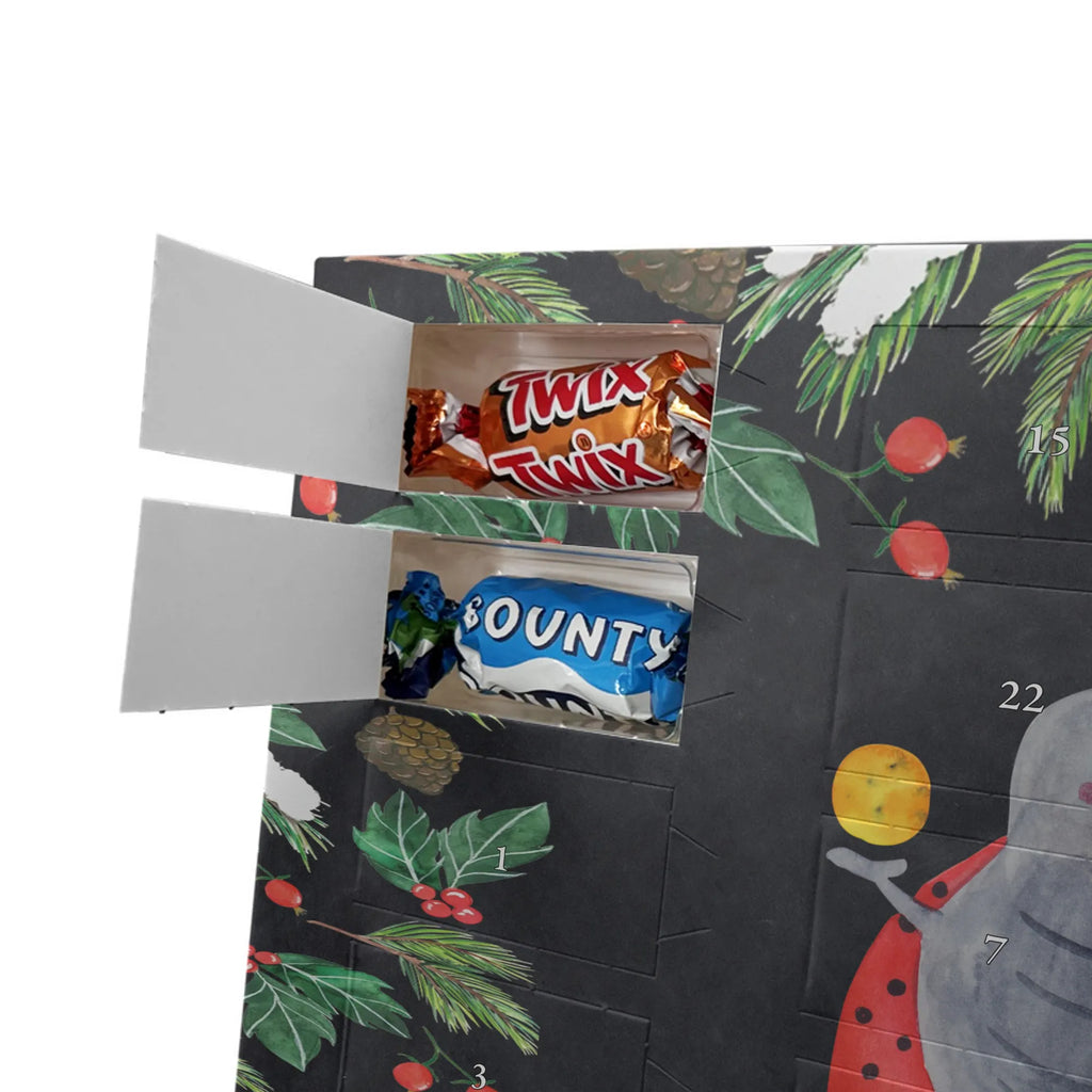 Adventskalender mit Namen Sternzeichen Zwilling Personalisierter Adventskalender, Adventskalender mit Namen, Sternzeichen, Tierkreiszeichen, Astrologie, Aszendent, Horoskop, Geburtstag Mai, Marienkäfer, Zwillinge, Zwilling Geschenk, Geschenk Mai, Zwillingsschwester, Zwillingsbruder, Zwilling Sternzeichen, Glückskäfer, Geschenk Juni