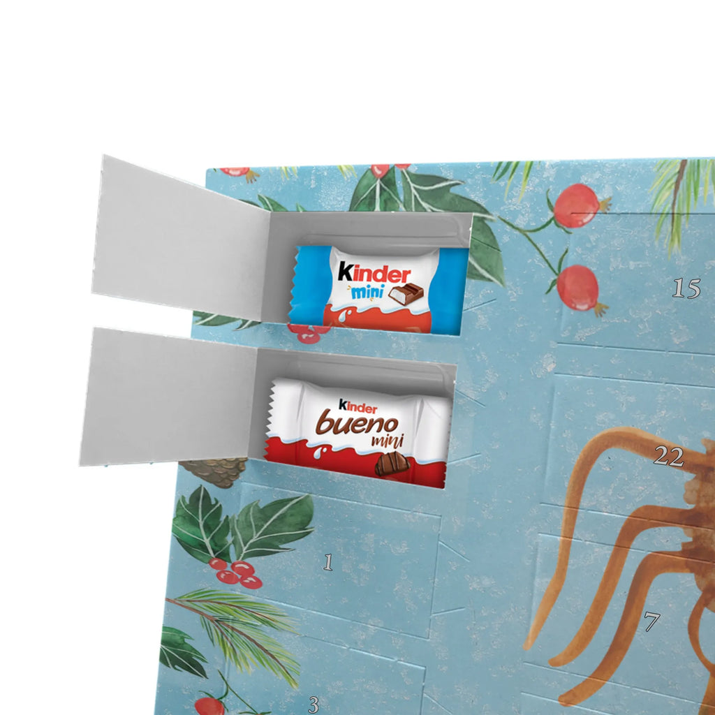 Chocolate advent calendar Spider Agathe Sandwich Spider, Spider Agathe