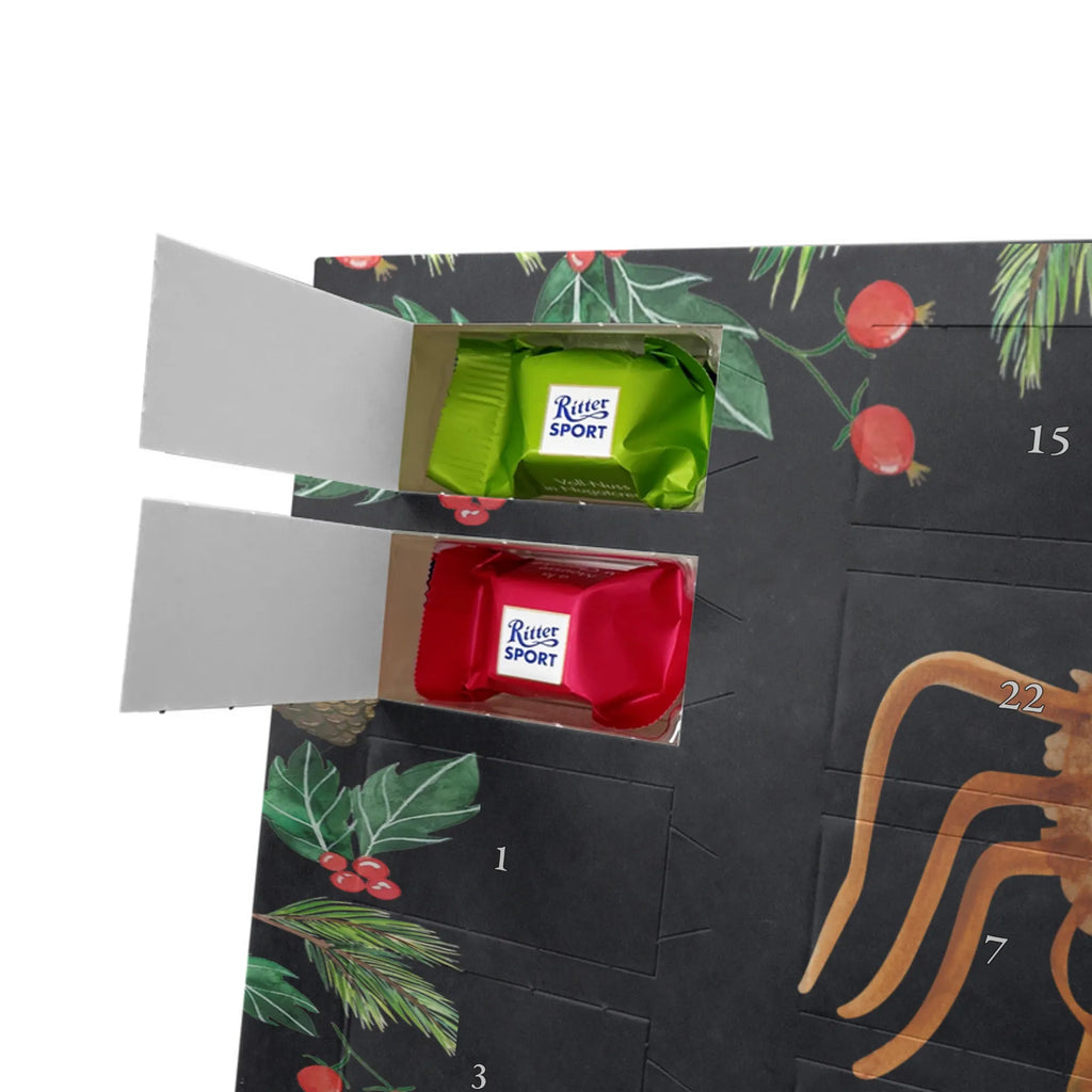 Chocolate advent calendar Spider Agathe Sandwich Spider, Spider Agathe