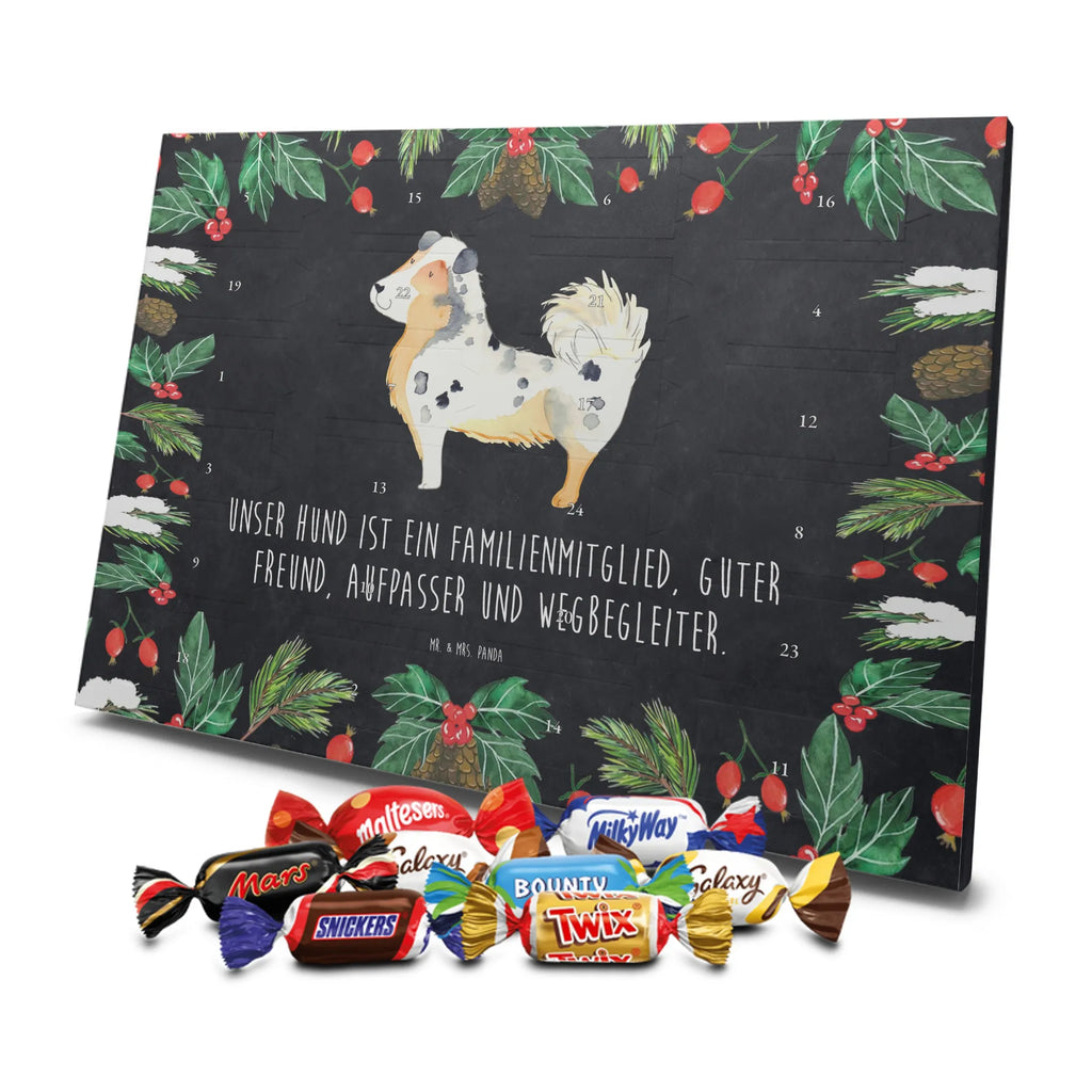 Chocolate advent calendar Dog Australia Shepherd mutt, dog sayings, love dogs, dog mama, funny gifts for dog owners, woof, what do you give a dog lover, dog breed, Christmas gifts for dogs, gifts for dogs, bag with dog print, love for dogs, hound, dog decorative items, Dog love, Australia Shepherd, Family dog, Saying, Sayings