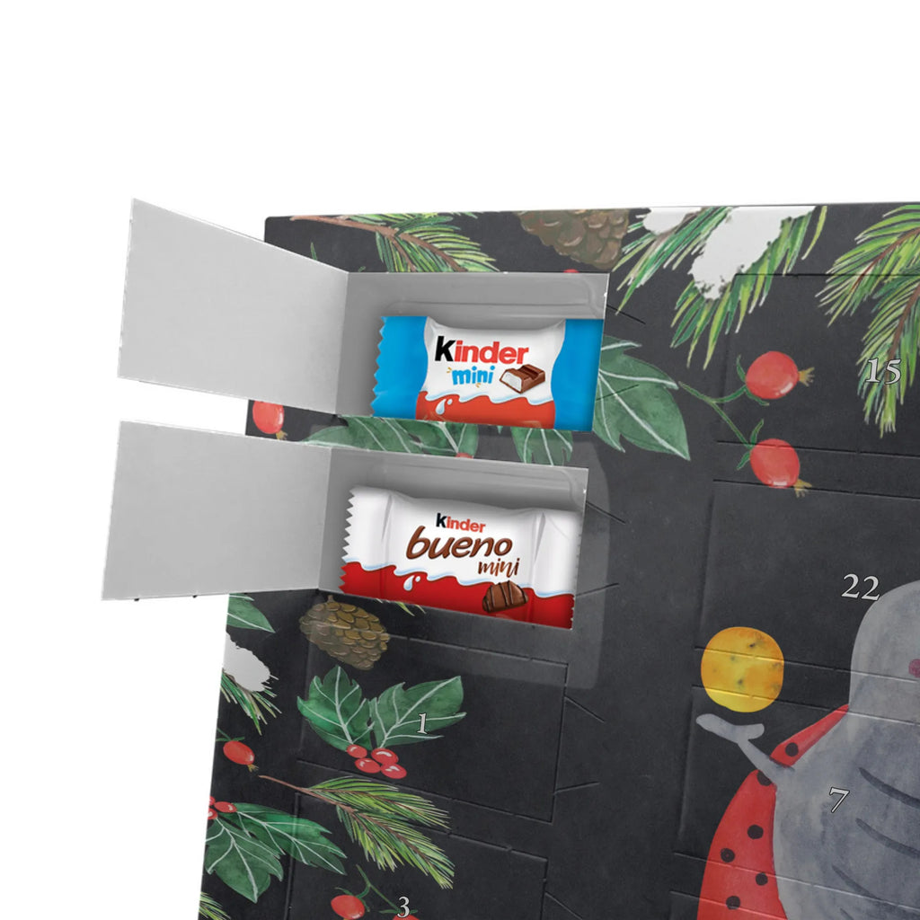 Adventskalender mit Namen Sternzeichen Zwilling Personalisierter Adventskalender, Adventskalender mit Namen, Sternzeichen, Tierkreiszeichen, Astrologie, Aszendent, Horoskop, Geburtstag Mai, Marienkäfer, Zwillinge, Zwilling Geschenk, Geschenk Mai, Zwillingsschwester, Zwillingsbruder, Zwilling Sternzeichen, Glückskäfer, Geschenk Juni