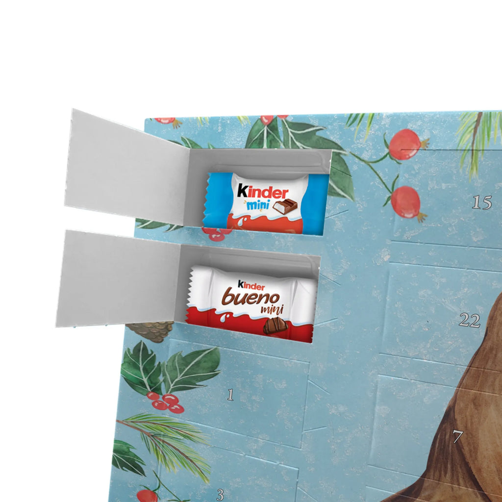 Schokoladen-Weihnachtskalender Rotkehlchen Schlitten schokokalender, Schokoladen-Weihnachtskalender, Weihnachts Kalender, Schokoladen Adventskalender, Weihnachtskalender Schokolade, Schokoladen-Adventskalender, Adventskalender Schokolade, schokoladenkalender, schoko kalender, kalender schokolade, adventskalender süßigkeiten, kalender weihnachten, süßigkeiten kalender, Schoko Adventskalender, schoko weihnachtskalender, pralinen adventskalender, süßigkeiten adventskalender, Weihnachten Adventskalender, adventskalender schoko, schokolade adventskalender, adventskalender pralinen, Weihnachtskalender, Adventskalender, weihnachtskalender schoko, Schoko-Adventskalender, schokoladen kalender, Heiligabend, Weihnachten, Winter, Advent, Weihnachtsdeko, Nikolaus, Wintermotiv, Schlitten, Vogel