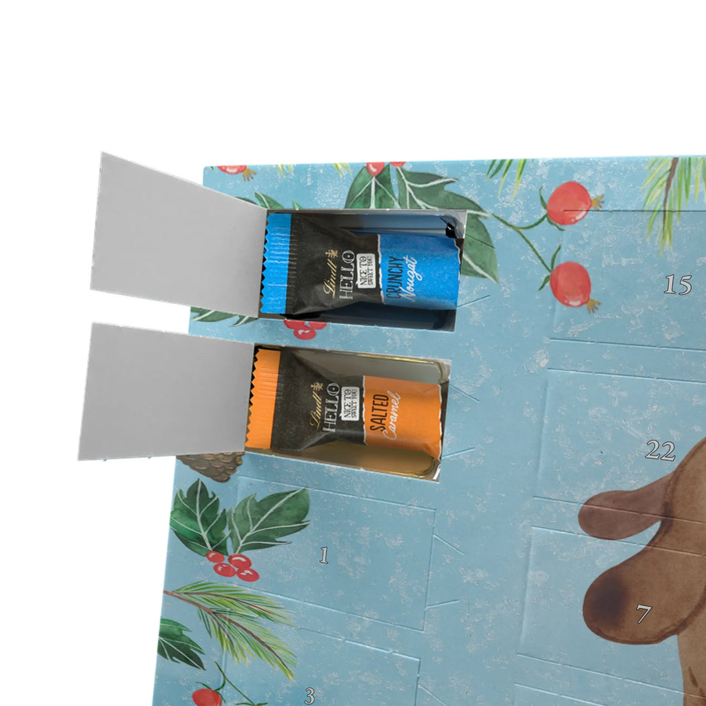 Chocolate advent calendar Dog biscuit mutt, dog sayings, love dogs, dog mama, funny gifts for dog owners, woof, what do you give a dog lover, dog breed, Christmas gifts for dogs, gifts for dogs, bag with dog print, love for dogs, hound, dog decorative items, treats, dog biscuits, dog snacks, dog treats