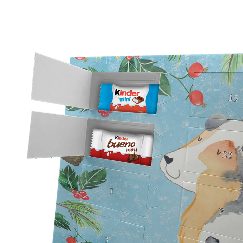 Chocolate advent calendar Dog Australia Shepherd mutt, dog sayings, love dogs, dog mama, funny gifts for dog owners, woof, what do you give a dog lover, dog breed, Christmas gifts for dogs, gifts for dogs, bag with dog print, love for dogs, hound, dog decorative items, Dog love, Australia Shepherd, Family dog, Saying, Sayings