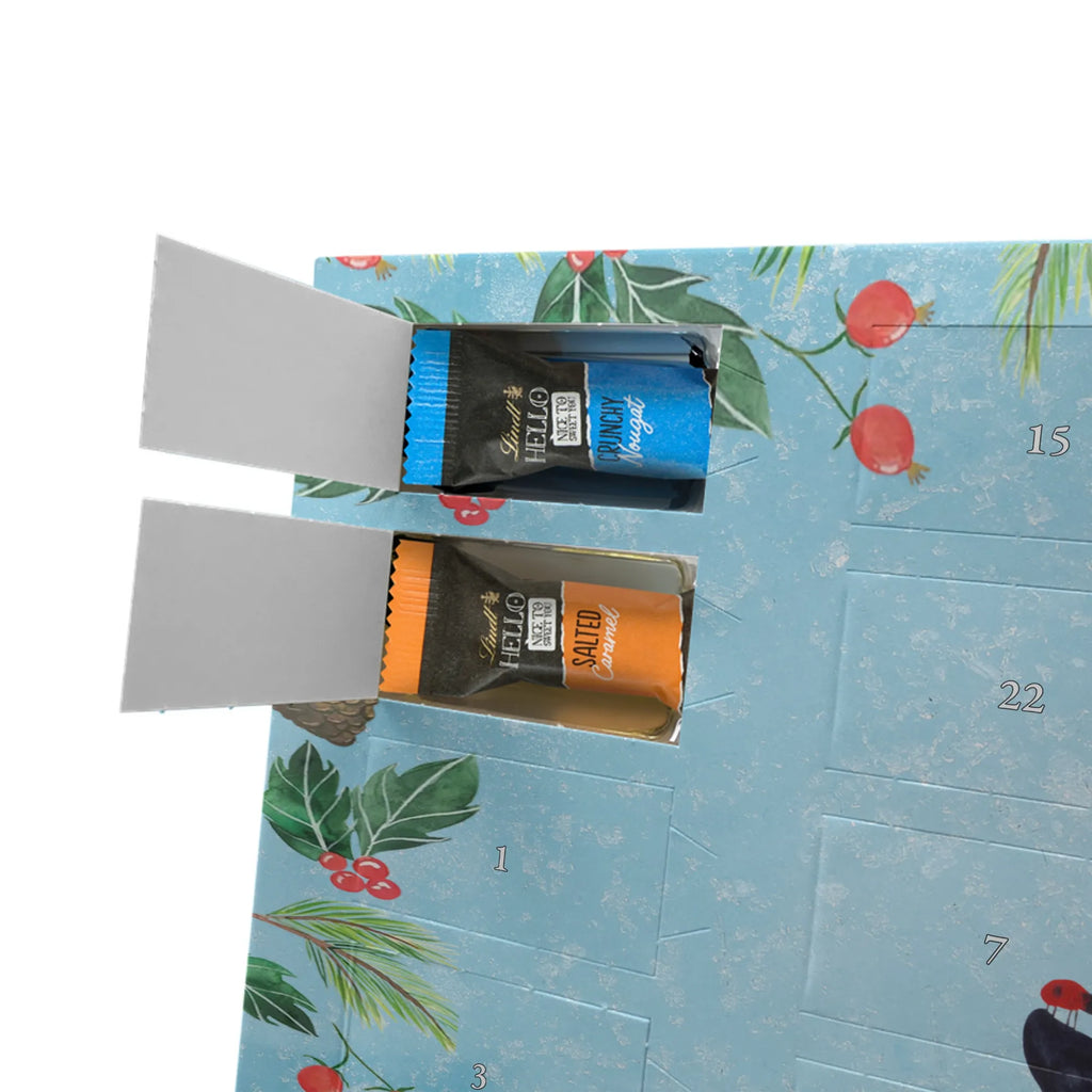 Chocolate advent calendar Penguin ladybug North Pole, Penguins, wonder, joy of life, penguins, ladybird, joy