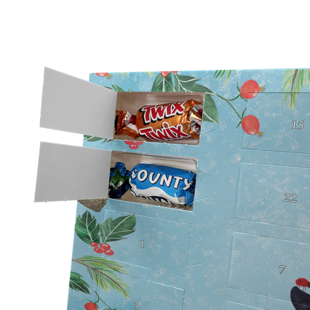 Chocolate advent calendar Penguin ladybug North Pole, Penguins, wonder, joy of life, penguins, ladybird, joy