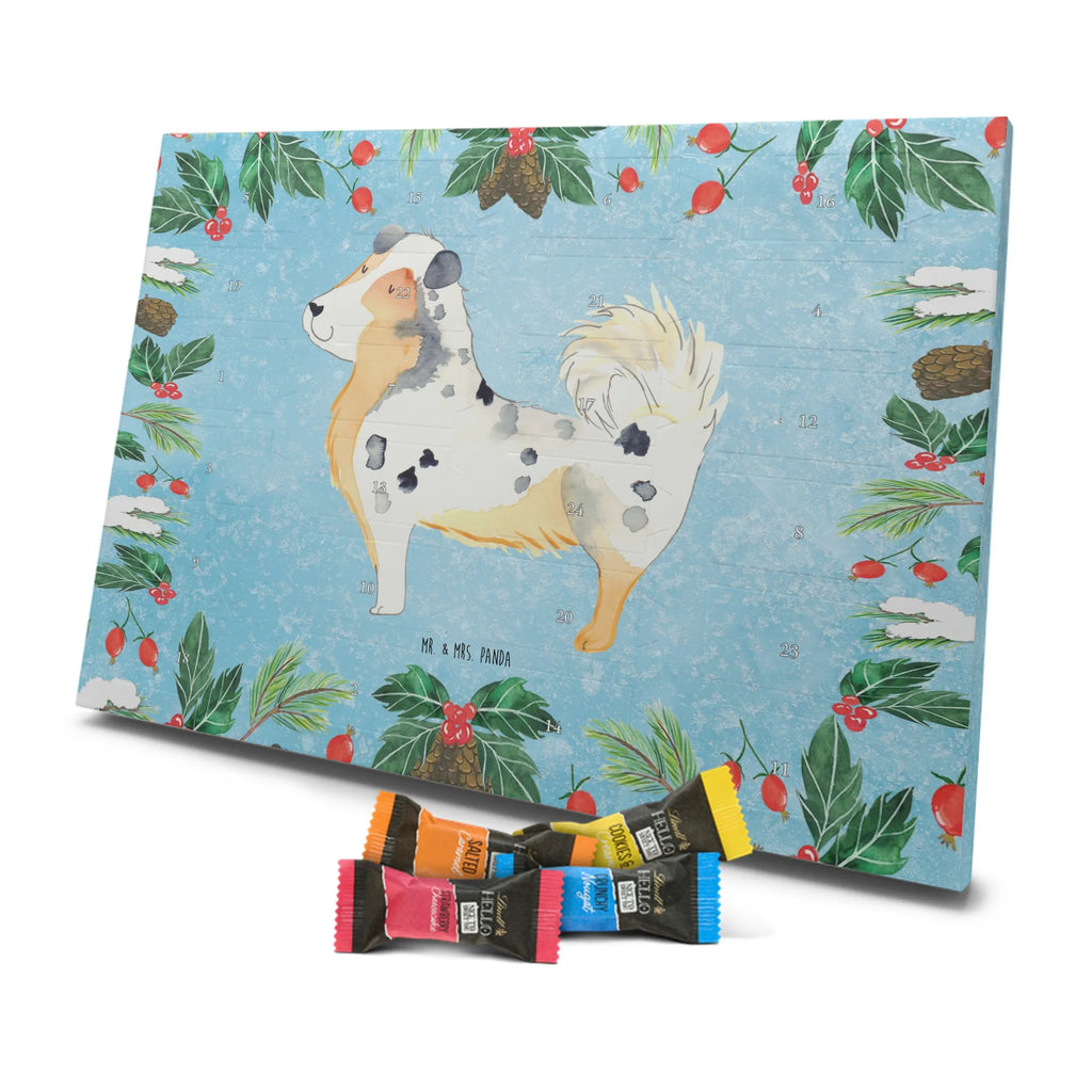 Chocolate advent calendar Dog Australia Shepherd mutt, dog sayings, love dogs, dog mama, funny gifts for dog owners, woof, what do you give a dog lover, dog breed, Christmas gifts for dogs, gifts for dogs, bag with dog print, love for dogs, hound, dog decorative items, Dog love, Australia Shepherd, Family dog, Saying, Sayings