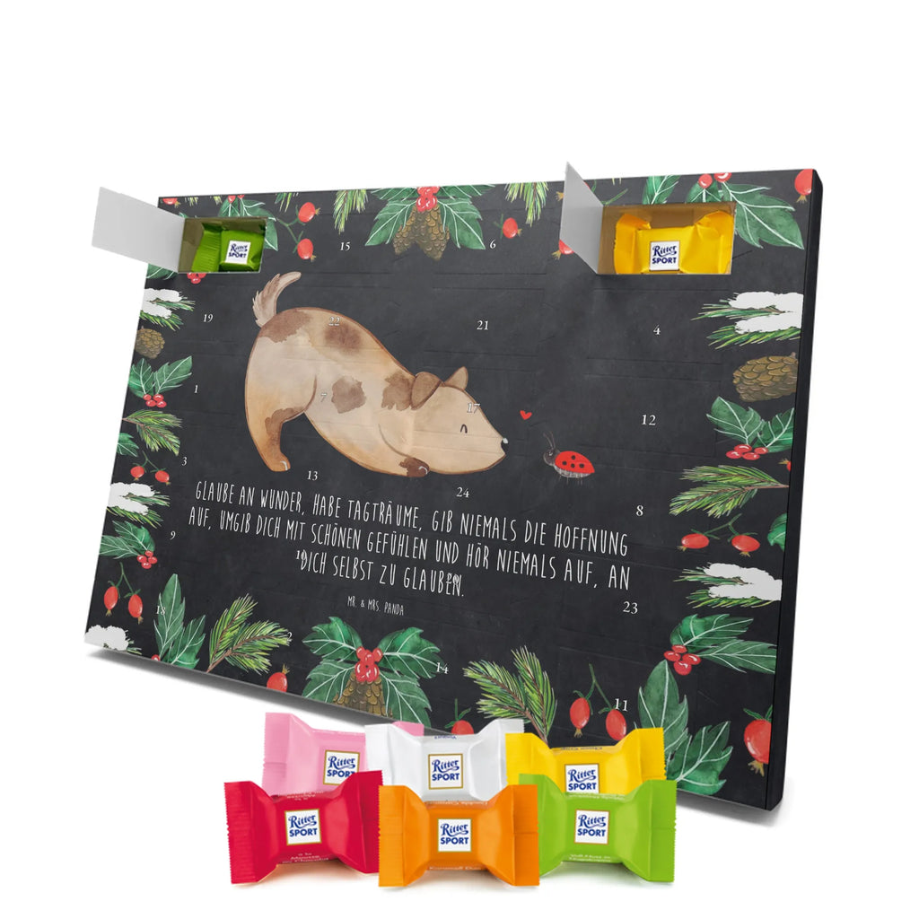 Chocolate advent calendar Dog ladybug mutt, dog sayings, love dogs, dog mama, funny gifts for dog owners, woof, what do you give a dog lover, dog breed, Christmas gifts for dogs, gifts for dogs, bag with dog print, love for dogs, hound, dog decorative items, Mongrel dog, Dog slogan, Ladybird, Sayings, Mongrel, Dogs