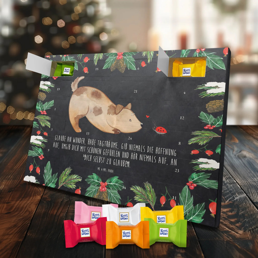 Chocolate advent calendar Dog ladybug mutt, dog sayings, love dogs, dog mama, funny gifts for dog owners, woof, what do you give a dog lover, dog breed, Christmas gifts for dogs, gifts for dogs, bag with dog print, love for dogs, hound, dog decorative items, Mongrel dog, Dog slogan, Ladybird, Sayings, Mongrel, Dogs