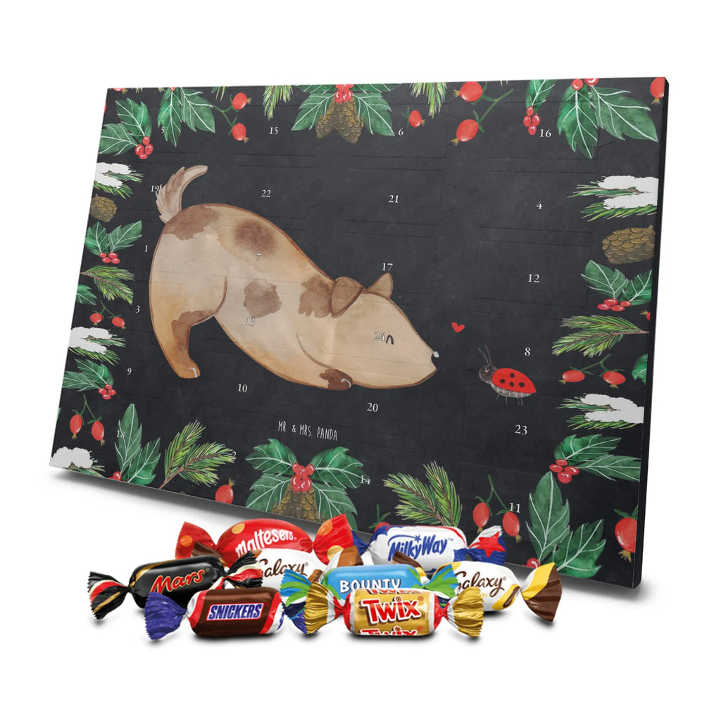 Chocolate advent calendar Dog ladybug mutt, dog sayings, love dogs, dog mama, funny gifts for dog owners, woof, what do you give a dog lover, dog breed, Christmas gifts for dogs, gifts for dogs, bag with dog print, love for dogs, hound, dog decorative items, Mongrel dog, Dog slogan, Ladybird, Sayings, Mongrel, Dogs